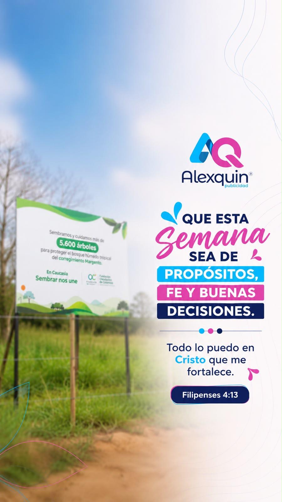 Diseño gráfico – Contenido para redes
